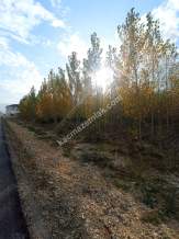 Niksar Şehir Merkezinin Girişinde Anayola Cephe Tarla