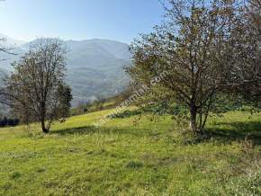 Akçaabat Kirazlık Köyünde Satılık 1384 M2 Arazi