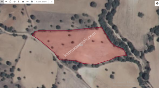 Uşak Eşme Bozlar Köyünde Satılık Tarla