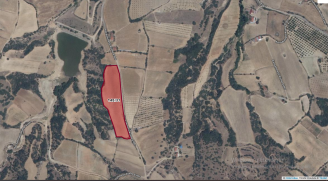 Uşak Eşme Karaahmetli Köyünde Satılık Tarla