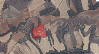 Uşak Eşme Şehitli Köyünde Satılık Tarla