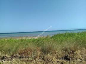 Tekirdağ Şarköy Kızılcaterzi Mahallesi Satılık Arsa