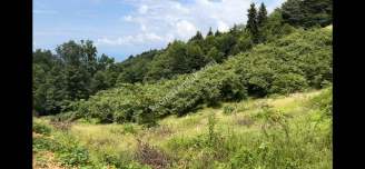 Trabzon Çileklide Satılık Villa İmarlı Arsa