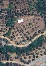 Bursa Mudanya Mirzaoba Satılık Zeytinlik