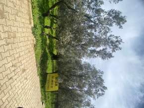 Fatih’ten Orhangazi Gedelek Te Ana Asfalta 100 Mt Mesaf