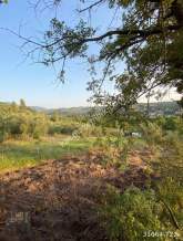 Fatih’ten Orhangazi Karsak Ta 2082M2 Satılık Zeytinlik