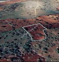 Şehitkamil Yığınlı Da 2.510 M² Tek Tapu Fıstıklık