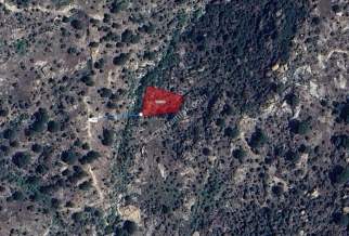 Muğla-Milas-Ortaköy-Satılık-995M2-Zeytinlik