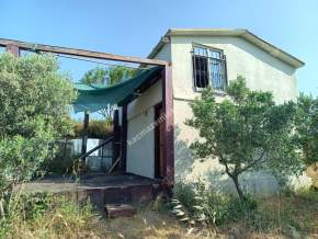 Tekirdağ Şarköy Güzelköy Satılık Bağ Evi Olan Zeytinlik