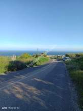 Tekirdağ Şarköy Müreftede Satılık Zeytinlik