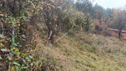 Kastamonu Merkez İmarlı Kat Karşılıgı Arsa 6