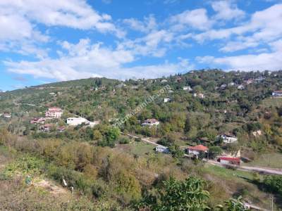 İzmit Kuruçeşme'de 7 Dönüm Kat Karşılığı Arsa 5