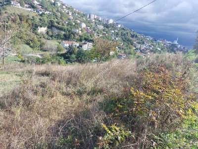 İzmit Kuruçeşme'de 7 Dönüm Kat Karşılığı Arsa 2