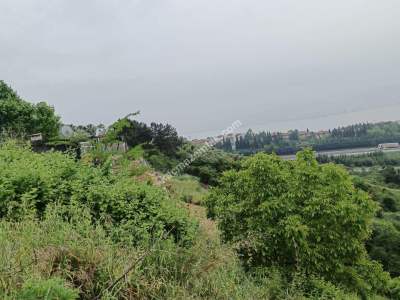 İzmit Hatipköyde Kat Karşılığı Arsa 2