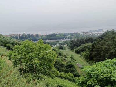 İzmit Hatipköyde Kat Karşılığı Arsa 7