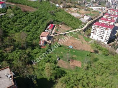 Trabzon 2. Nolu Beşirlide Kat Karşılığı Arsa 4