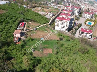 Trabzon 2. Nolu Beşirlide Kat Karşılığı Arsa 5