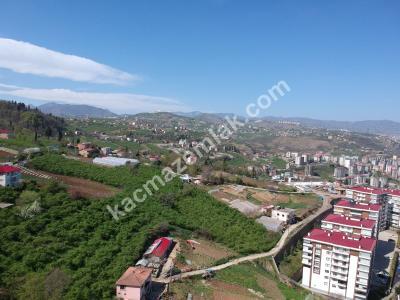 Trabzon 2. Nolu Beşirlide Kat Karşılığı Arsa 6