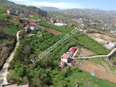 Trabzon 2. Nolu Beşirlide Kat Karşılığı Arsa 7