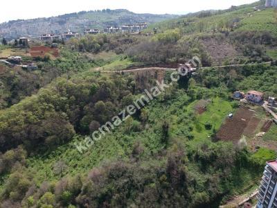 Trabzon 2. Nolu Beşirlide Kat Karşılığı Arsa 10