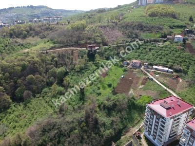 Trabzon 2. Nolu Beşirlide Kat Karşılığı Arsa 3