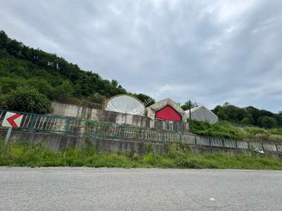 Trabzon Arsin Elmaalan Yolu Üzeri 6000 M² Kiralık Depo 10