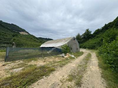 Trabzon Arsin Elmaalan Yolu Üzeri 6000 M² Kiralık Depo 7