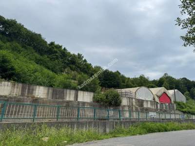 Trabzon Arsin Elmaalan Yolu Üzeri 6000 M² Kiralık Depo 12