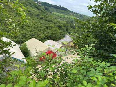 Trabzon Arsin Elmaalan Yolu Üzeri 6000 M² Kiralık Depo 1