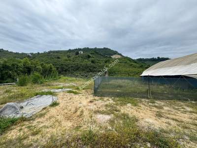 Trabzon Arsin Elmaalan Yolu Üzeri 6000 M² Kiralık Depo 3