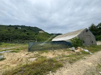 Trabzon Arsin Elmaalan Yolu Üzeri 6000 M² Kiralık Depo 4