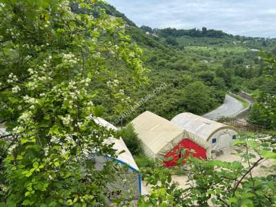 Trabzon Arsin Elmaalan Yolu Üzeri 6000 M² Kiralık Depo 11