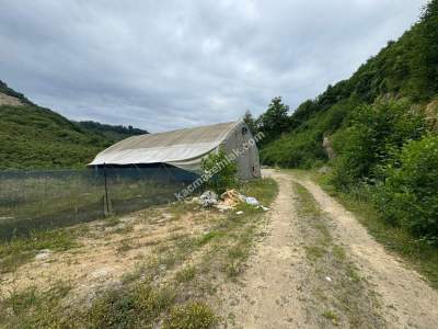 Trabzon Arsin Elmaalan Yolu Üzeri 6000 M² Kiralık Depo 2