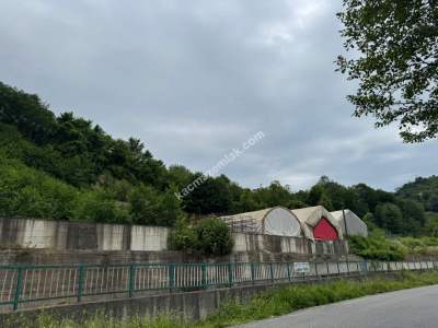 Trabzon Arsin Elmaalan Yolu Üzeri 6000 M² Kiralık Depo 13