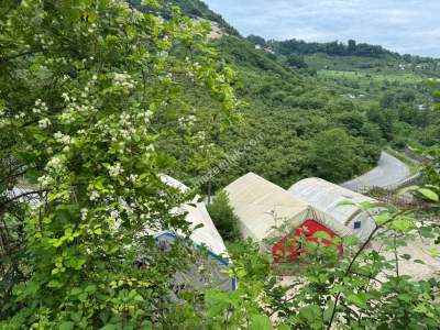 Trabzon Arsin Elmaalan Yolu Üzeri 6000 M² Kiralık Depo 8