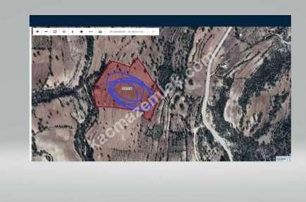 Gülnarda Kiralık Tarla 1