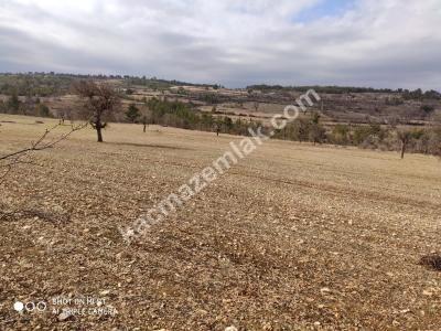 Gülnarda Kiralık Tarla 13