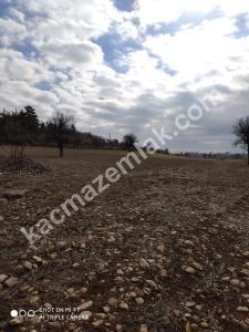 Gülnarda Kiralık Tarla 4