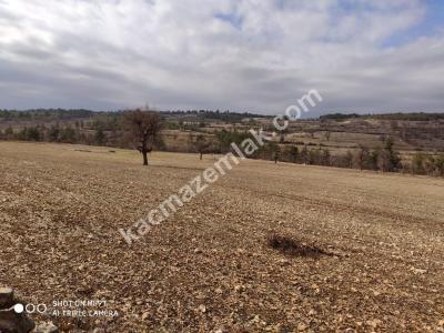 Gülnarda Kiralık Tarla 12