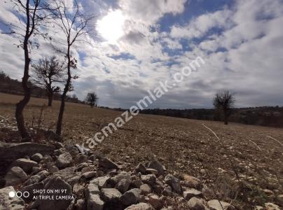 Gülnarda Kiralık Tarla 11