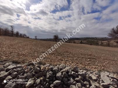 Gülnarda Kiralık Tarla 9