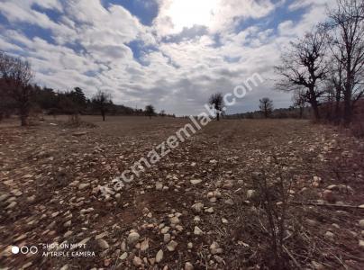 Gülnarda Kiralık Tarla 3