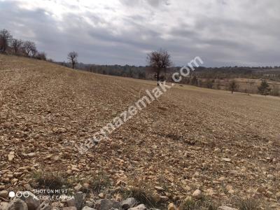 Gülnarda Kiralık Tarla 10