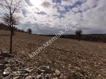 Gülnarda Kiralık Tarla 7