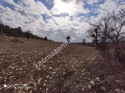 Gülnarda Kiralık Tarla 5