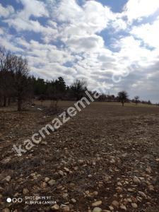 Gülnarda Kiralık Tarla 2