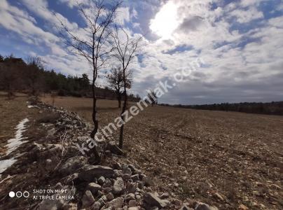 Gülnarda Kiralık Tarla 8