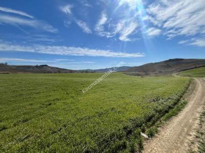 Adana Karaisalı Kuzgun Satılık Arazi 2