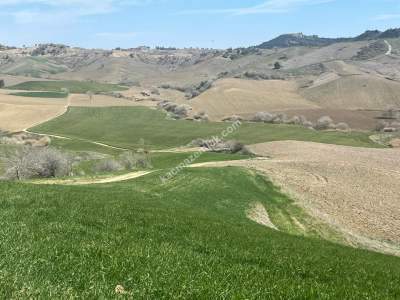 Adana Karaisalı Kuzgun Satılık Arazi 3