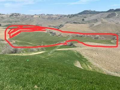 Adana Karaisalı Kuzgun Satılık Arazi 4
